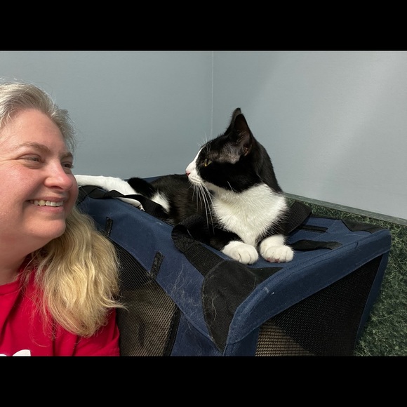 Meet your Posher, Sandra - Picture 1 of 1